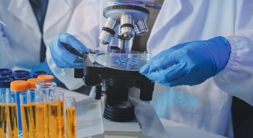 Ősi DNS árulta el, miért tért vissza a pestis 400 éven át Európába