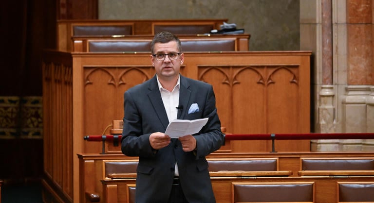 Vádalkut sejt a háttérben a hétfőn őrizetbe vett Seszták Miklós