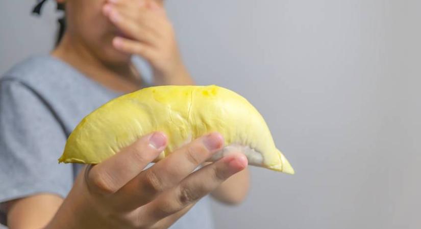 A világ legbüdösebb gyümölcsét anno afrodiziákumként használták