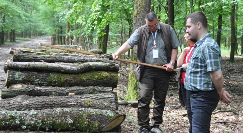 Letarolták a mezőnyt a zalaiak: Molnár Tamás lett az ország legfelkészültebb erdésze
