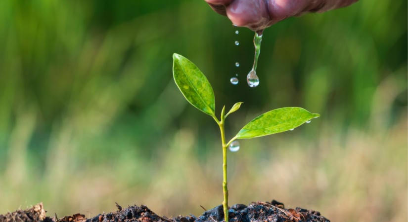 Itt a Tisza-kormány terve: átalakítanák az agrártámogatási rendszert?