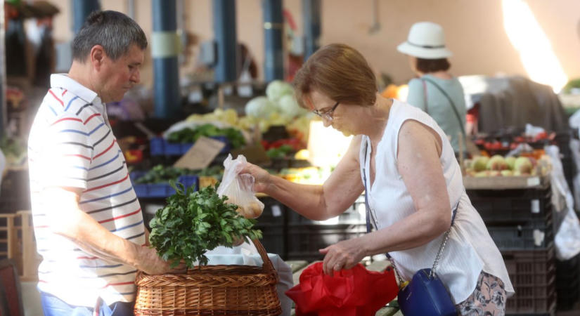 Megböki, leszúrja, kinyírja...– közelharcot vívnak minden egészséges dinnyért mielőtt piacra vinnék