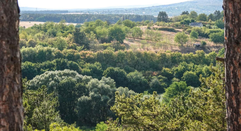 Munka után is nekivághat ennek a túrának, pazar bakonyi kilátás lesz a jutalma (fotók, videó)