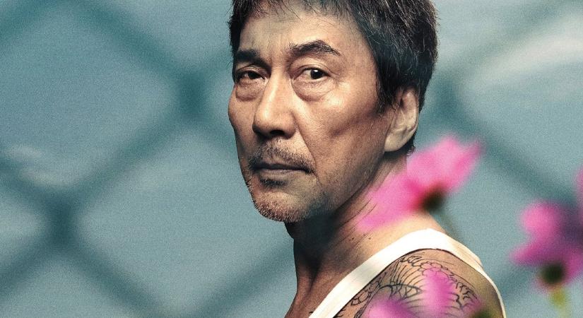 Nézz a kanapédról japán filmeket