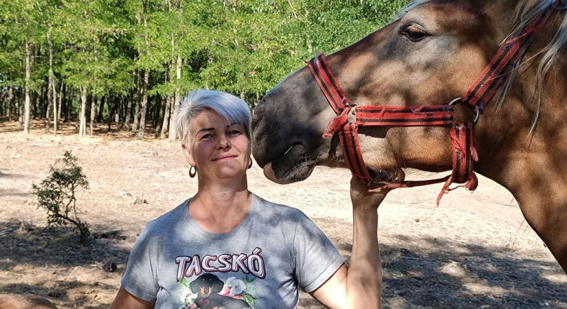 Nem a gyors haszonért csinálja: önerőből épít különleges állatsimogatót a kunadacsi gazda  fotók, videó