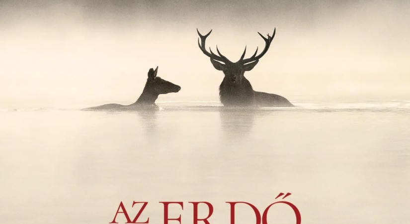 Feldmár filmklub: Az erdő zenéje - Premier előtti vetítés