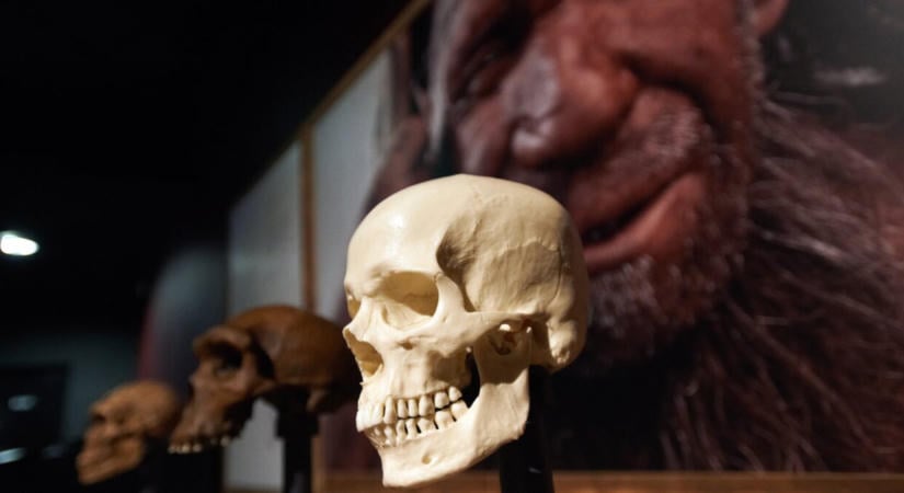 Nem csak a Homo sapiens élt a Földön, akkor miért csak mi maradtunk?