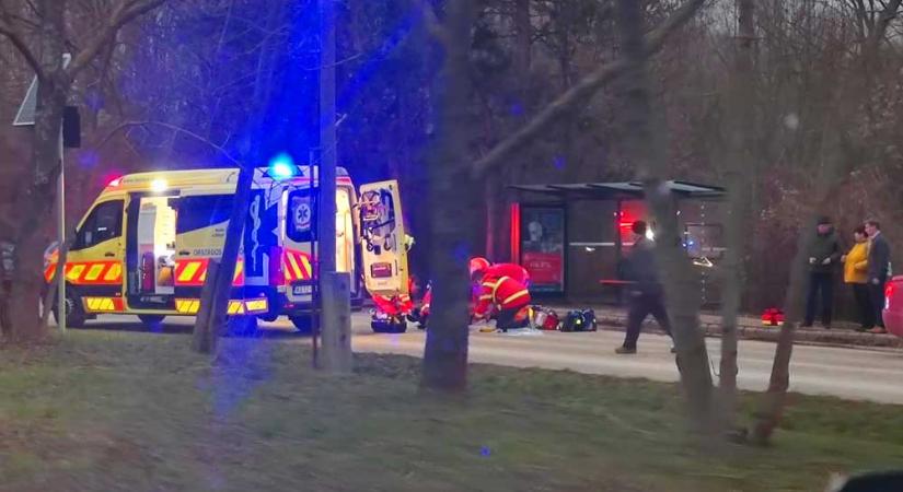 84 éves asszonyt gázoltak halálra Kerepesen – pozitív volt a sofőr drogtesztje