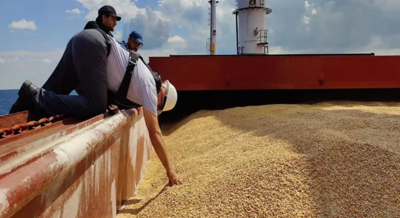 Orosz támadások miatt csőd szélére kerülhetnek az ukrán gazdák, 75 százalékkal esett az export