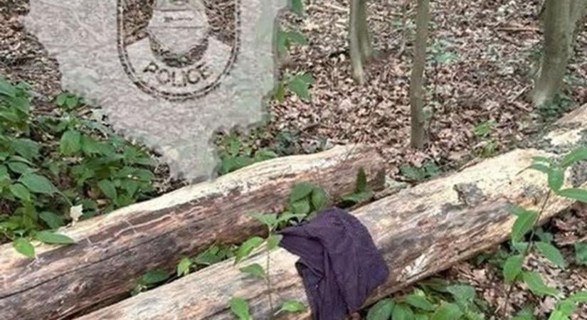 Fogdosás, mutogatás, önkielégítés – megdöbbentő ügyekben csaptak le a zalai rendőrök