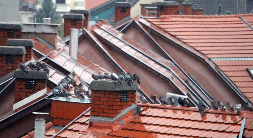Gubbasztó galambok és kék radarkép: mutatjuk, mit hoz Zalába szombatra a pénteki ciklon