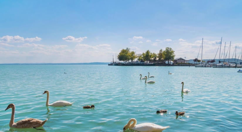 „Döbbenetes, ami zajlik”: kettős présben a Balaton, mi lesz így a tóval?