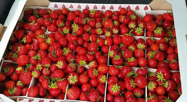 Fogyasztóvédelmi hatóság: a vizsgált szamócák 10 százaléka nem felelt meg az előírásoknak