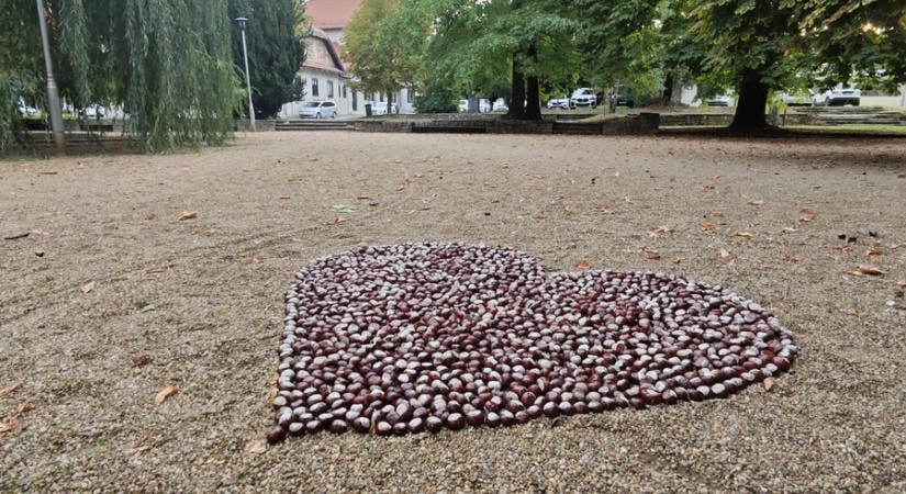 Gesztenyeszív reggelire - kedves ajándék