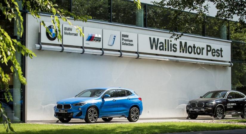 Felpörgött az új-autó piac, erős negyedév az AutoWallisnál