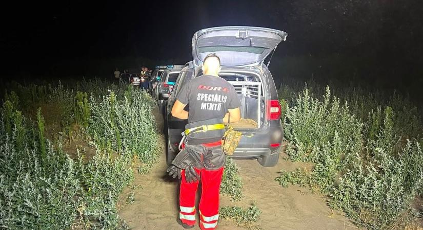 Kutyákkal és quadokkal keresték a Bordányból eltűnt súlyosan beteg férfit  fotók