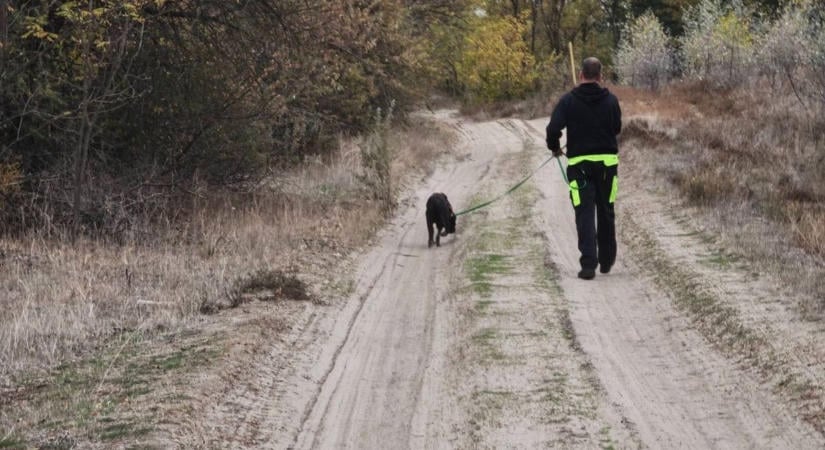 Családi konfliktus után eltűnt egy 14 éves lány Ásotthalmon – keresőkutyákkal indultak a nyomába  fotók