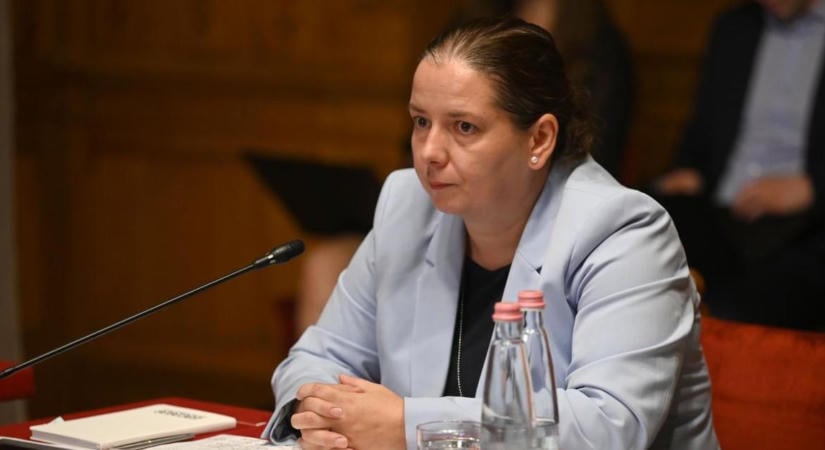 Unger Annáék első körben "négy nagyon jó" ügyet kérnek át más hatóságoktól, ezekkel kezdik a munkájukat