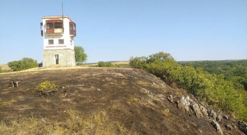 Bakonyi főnixmadár: a megégett kilátó az Év Kilátója döntőjébe került, mutatjuk, hogy áll a javítása (képek)