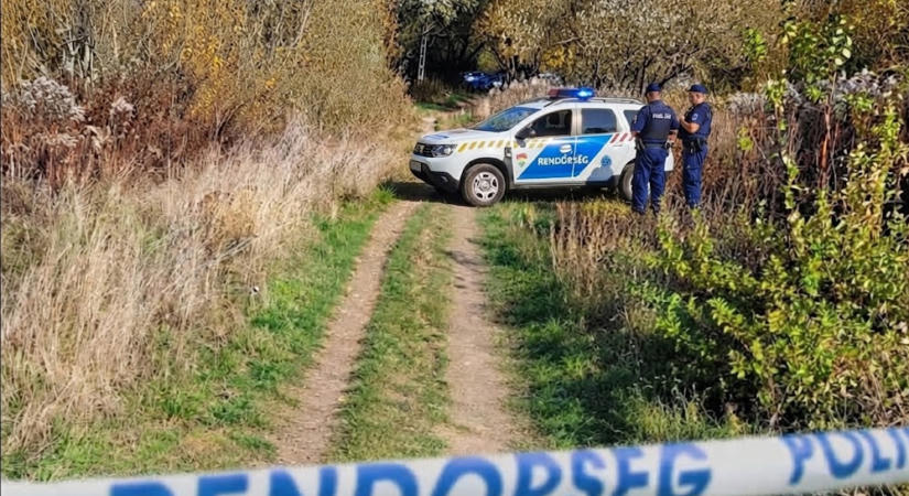 Csúnyán megalázott egy fiúbanda egy 12 éves kislányt Nagykovácsiban – A polgármester is megszólalt az ügyben, a rendőrség már nyomoz