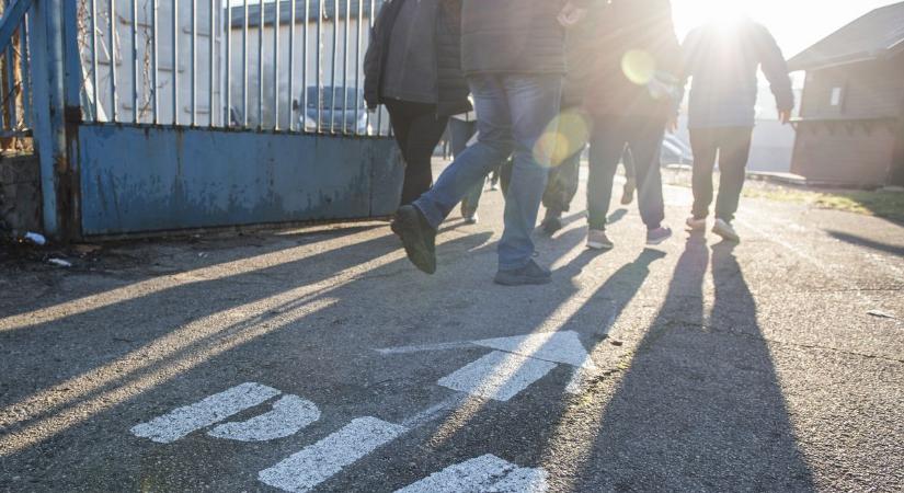 Lezárták a termelői piac kialakítását célzó projektet