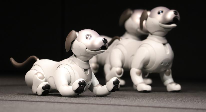 Érzékeny búcsút kell venniük a japánoknak imádott robotkutyájuktól