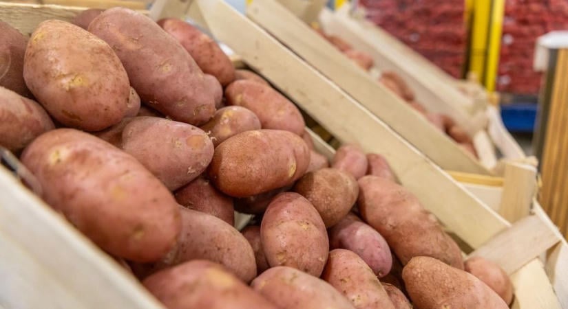 Nagy a baj, eltűnhet a boltok polcairól a hazai burgonya