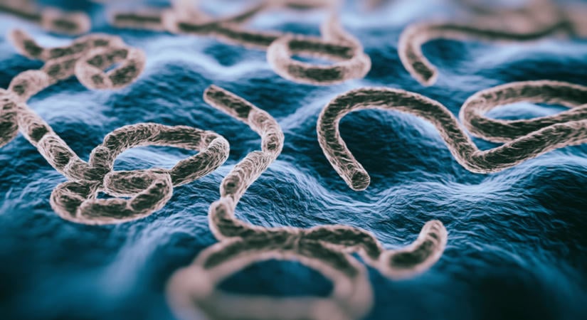 Amitől mindenki tartott – Afrika legnépesebb országába is betört az ebola