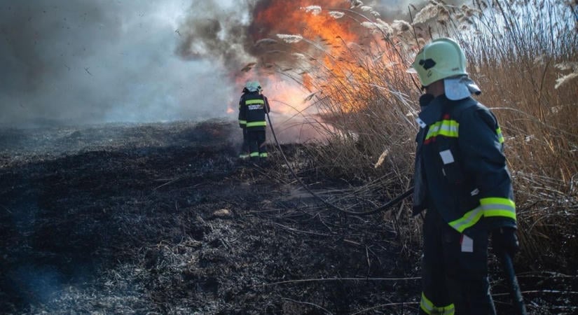 Szabadtéri tűzhöz siettek a hajdú-bihari tűzoltók, rengeteg gaz és szemét égett