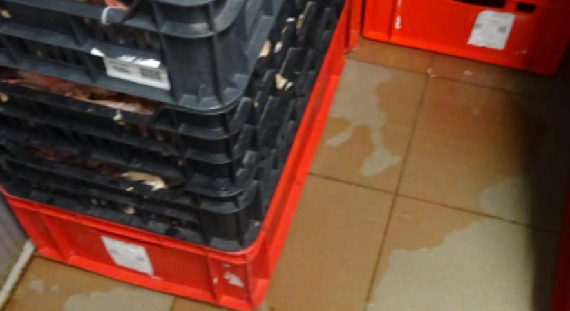 Valami elképesztően gusztustalan gyrosgyártó üzemet talált a Nébih, azonnal bezárták