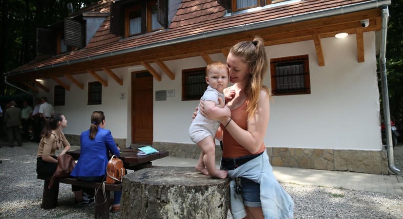 Somogy titkos búvóhelyei: ennyiért szállhatunk meg az erdő közepén