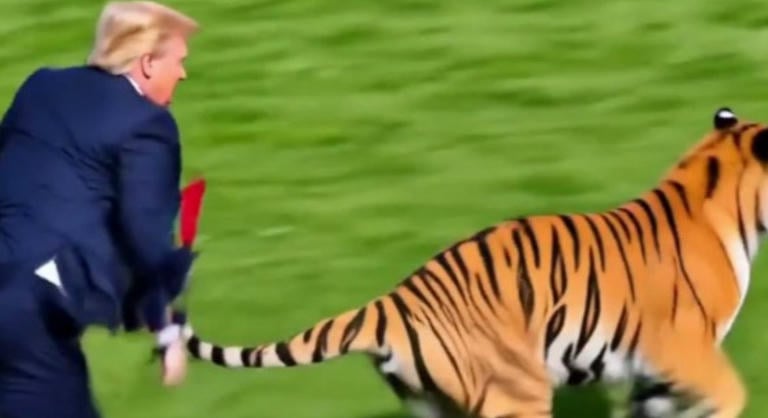 Donald Trump kirakott egy videót, amin leteper, majd megszelidít egy szibériai tigrist