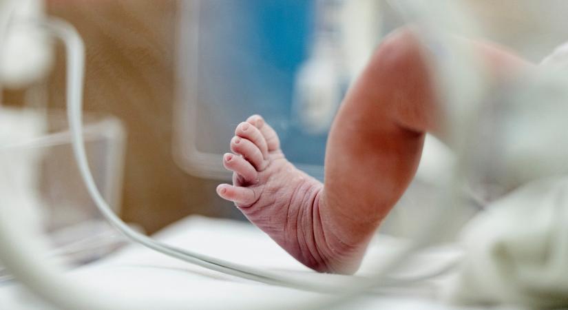 Ismét megszólalt a jelző: kislányt helyeztek el a Heim Pál inkubátorában