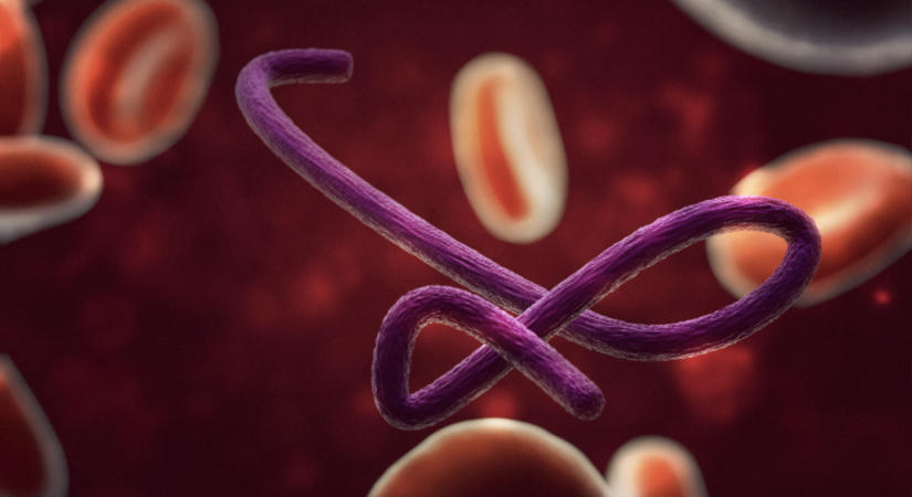 Véget ért az ebolajárvány Ugandában