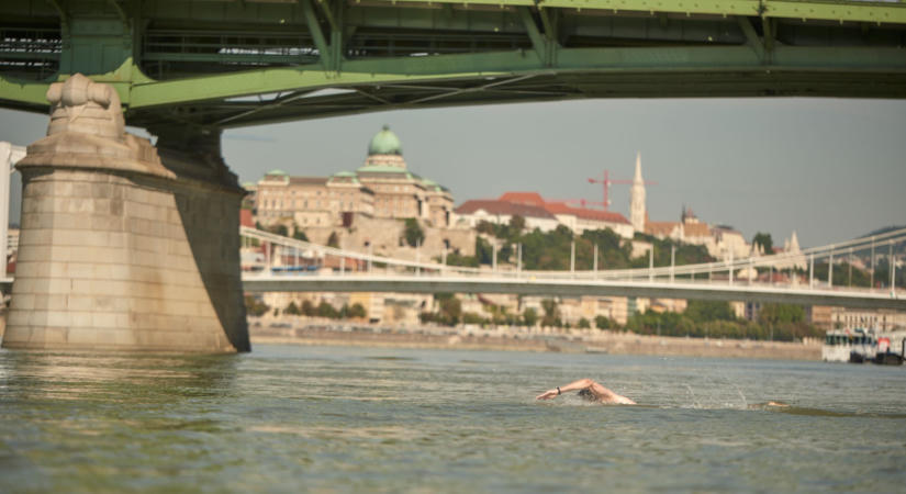Szombaton ezer ember csobbanhat Budapest belvárosában a Dunába – jön a Generali OWT Duna-átúszás