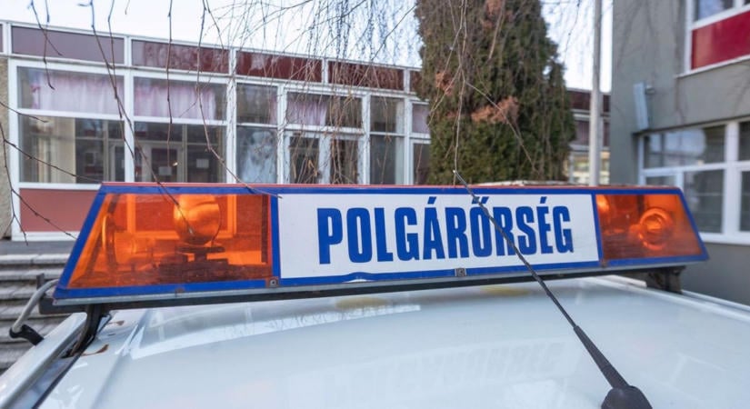 Négy lábon érkezett az új egri csapattag, már a neve is telitalálat