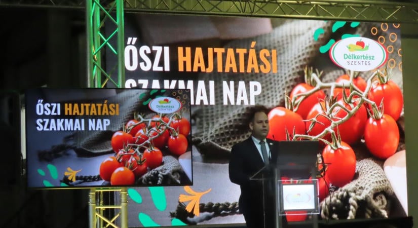 Nőttek a paprika és a paradicsom termelői árai, a közepesnél jobb évet zár a DélKerTÉSZ – videóval, galériával