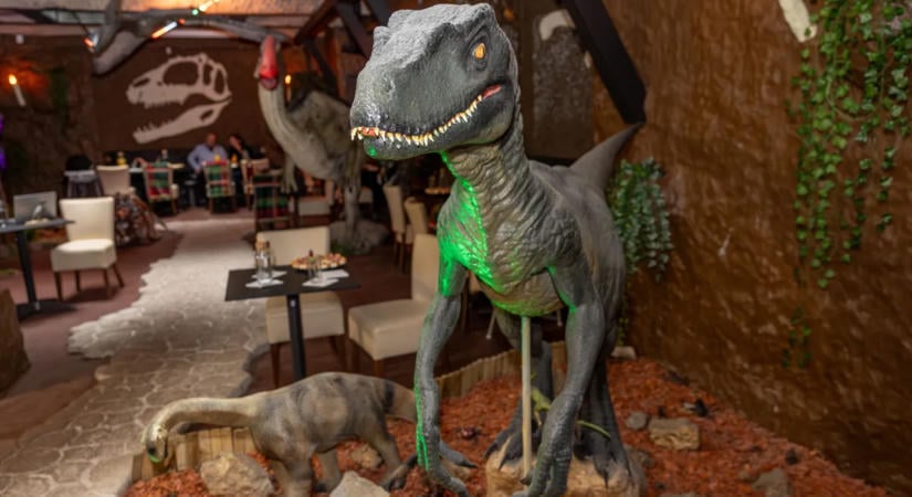 Raptorok, varázslók és földönkívüliek Budapest szívében – elképesztő világot épített fel egy magyar férfi