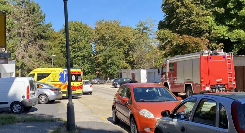 Tűzoltók és mentők vonultak a veszprémi utcába, egy idős nőt vittek kórházba ( fotók)