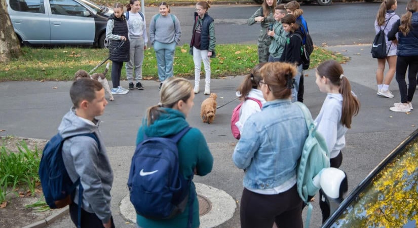 Bakanccsal írt hagyomány