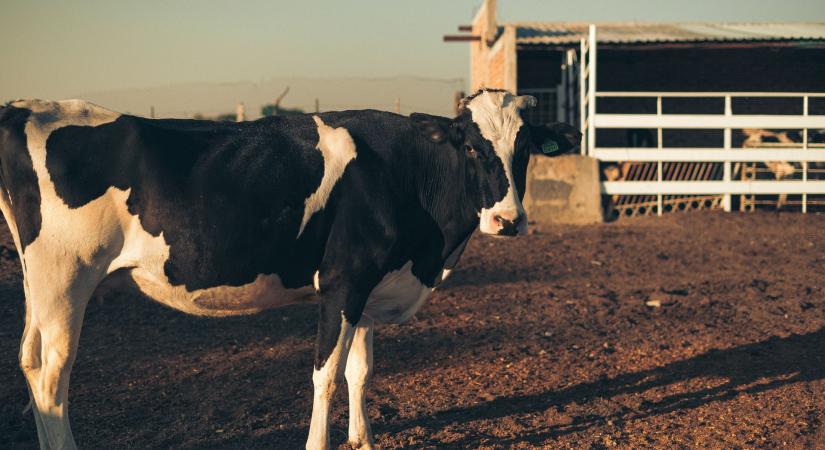 Az engedélyeztetési eljárások lassítják az európai agrárium fejlesztését