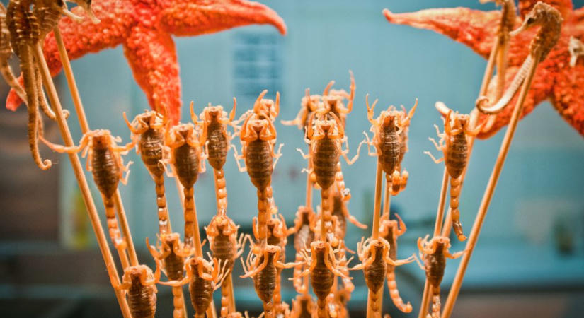 Finomságok Peking utcáin bátor kóstolóknak – Érdekességek a nagyvilágból