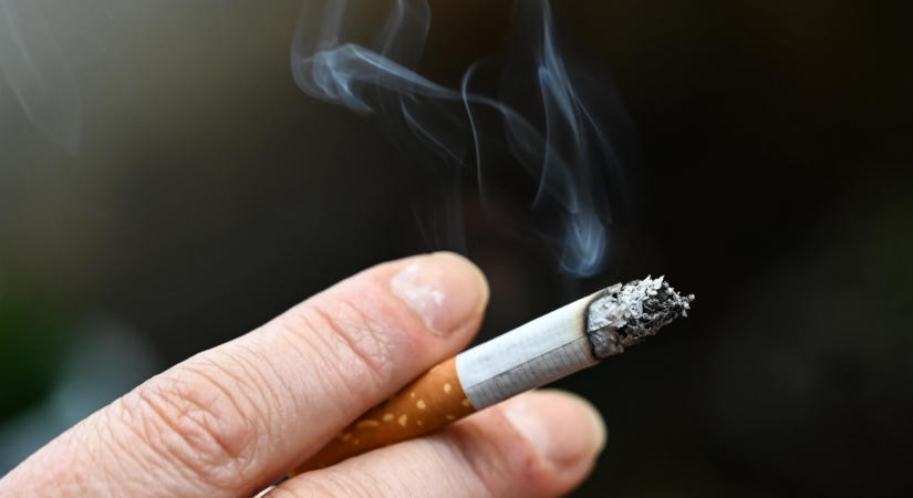 A dohányzás egyik mérgező anyaga furcsa módon védheti az agyat