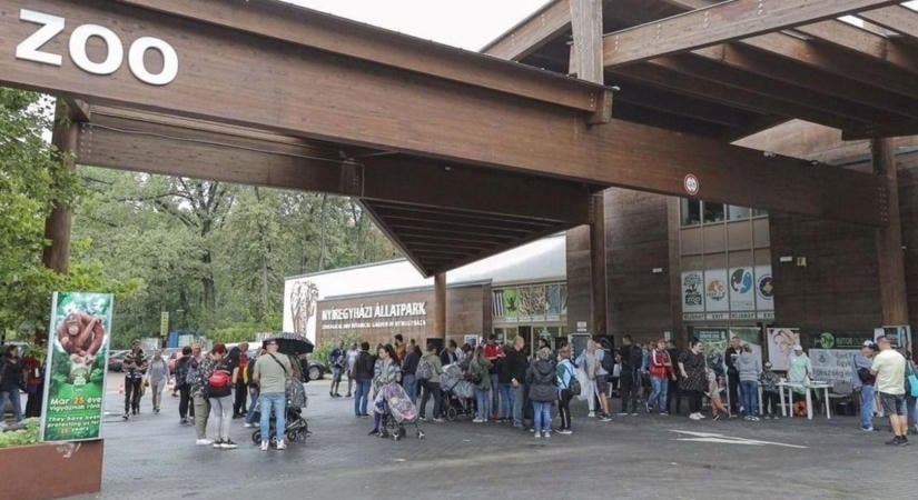 Különleges nap a Nyíregyházi Állatparkban: több mint 3500-an gyűltek össze az ÉFOÉSZ családi napján