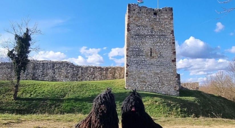 Rejtélyes akna került elő a bakonyi várnál, a régészek is törik a fejüket ( képgaléria)