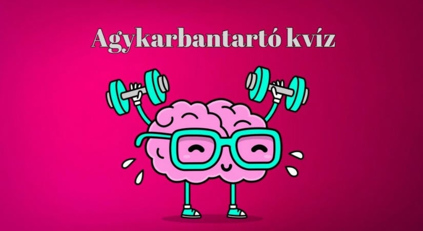 Kvízpercek - Szerezz magadnak egy csepp vidámságot ezzel a napi agykarbantartó kvízzel