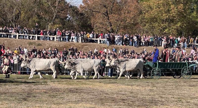 Az átlagosnál kissé hűvösebb, őszi idő várható a héten