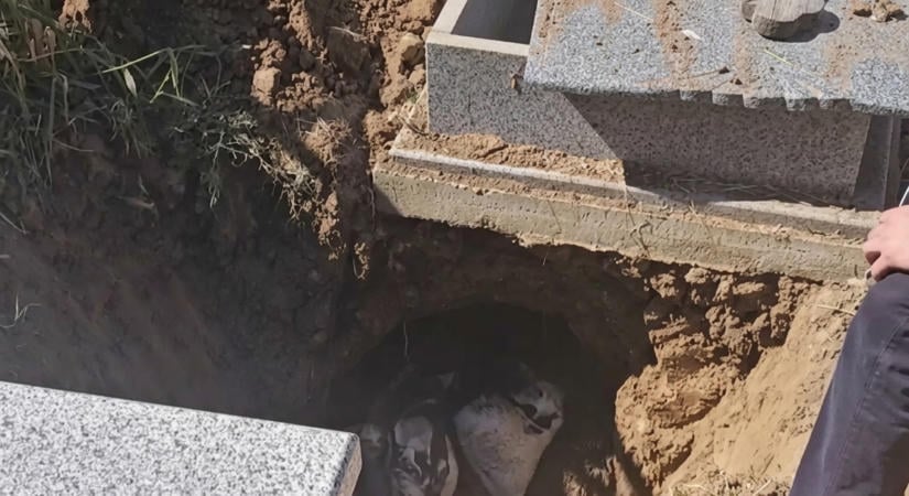 Cáfol az ügyészség a temetőben talált emberi maradványok ügyében