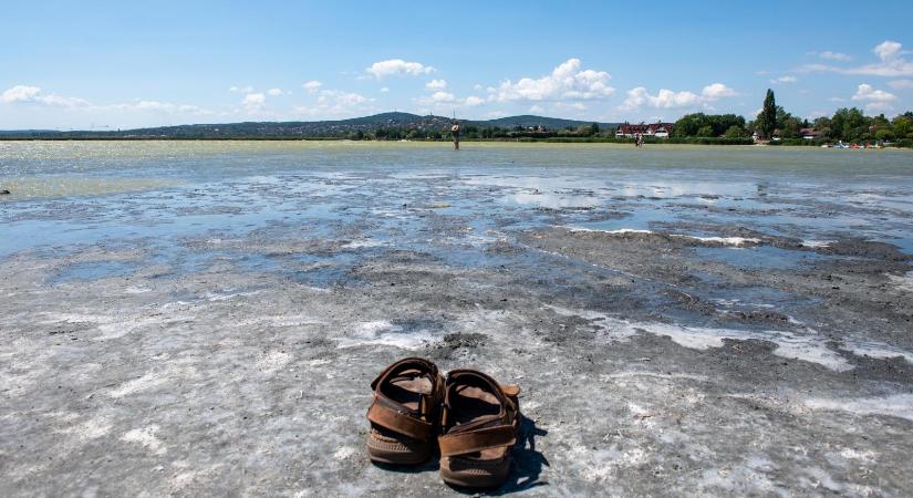 Csak azért is locsolunk: a kívánt vízspórolás szorongást okoz, amire bekapcsolhat a fogyasztói dac