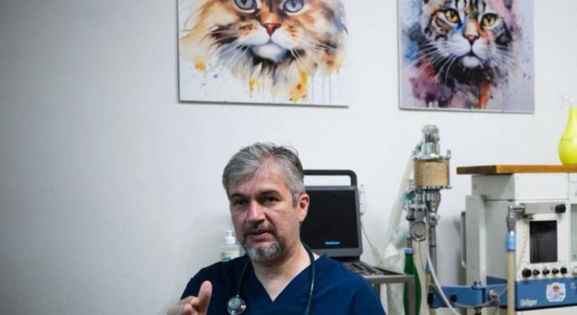 Hadházy: Horogkereszt miatt vádat emeltek az Alapjogokért Központ propagandistája ellen